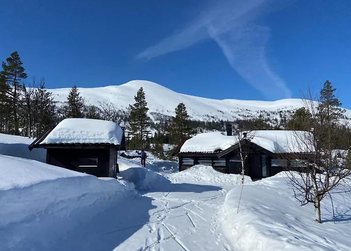 Hito - Cabin Between Fla And Eggedal