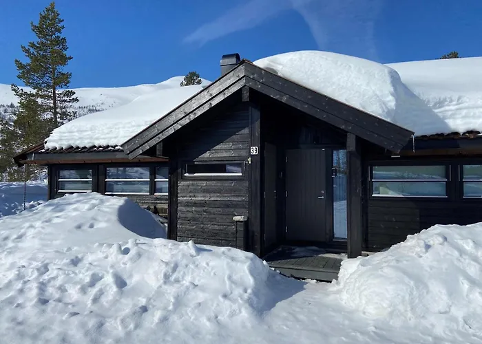 Hito - Cabin Between Fla And Eggedal